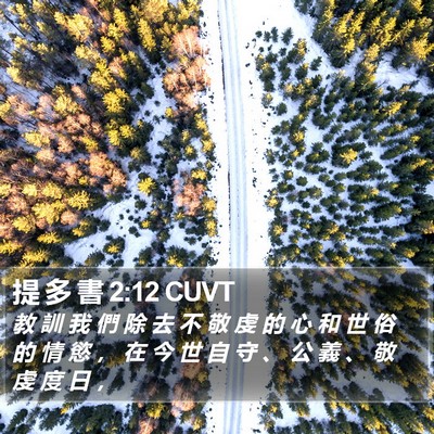 提 多 書 2:12 CUVT Bible Verse Image