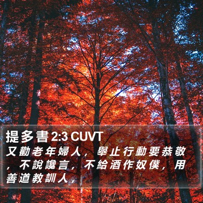 提 多 書 2:3 CUVT Bible Verse Image