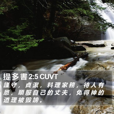 提 多 書 2:5 CUVT Bible Verse Image