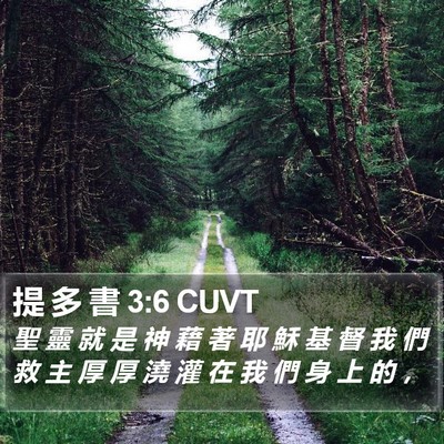 提 多 書 3:6 CUVT Bible Verse Image