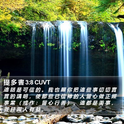 提 多 書 3:8 CUVT Bible Verse Image