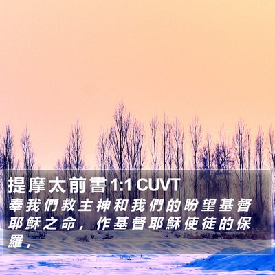 提 摩 太 前 書 1:1 CUVT Bible Verse Image