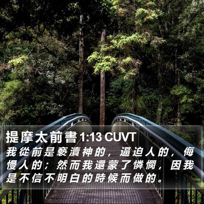 提 摩 太 前 書 1:13 CUVT Bible Verse Image