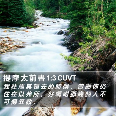 提 摩 太 前 書 1:3 CUVT Bible Verse Image