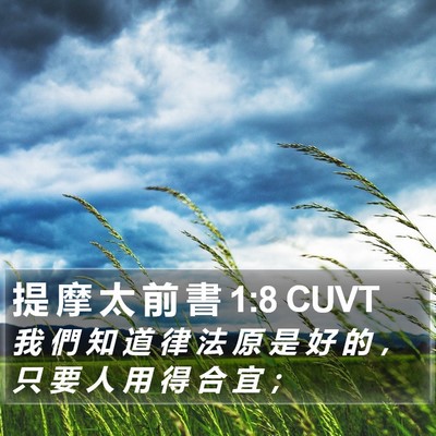 提 摩 太 前 書 1:8 CUVT Bible Verse Image