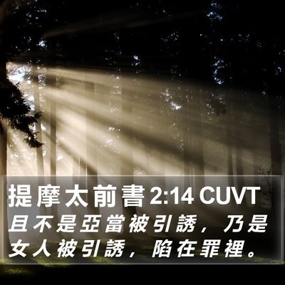 提 摩 太 前 書 2:14 CUVT Bible Verse Image