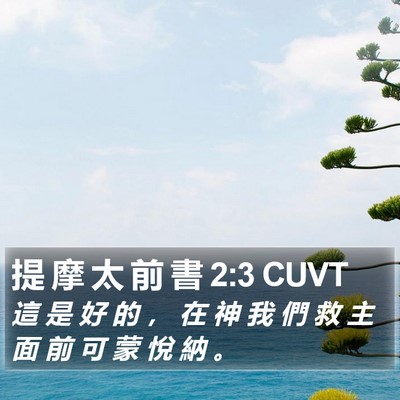 提 摩 太 前 書 2:3 CUVT Bible Verse Image