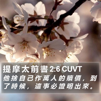 提 摩 太 前 書 2:6 CUVT Bible Verse Image