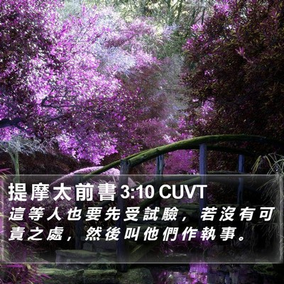 提 摩 太 前 書 3:10 CUVT Bible Verse Image