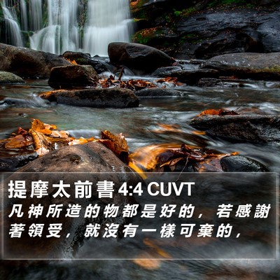 提 摩 太 前 書 4:4 CUVT Bible Verse Image
