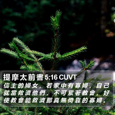 提 摩 太 前 書 5:16 CUVT Bible Verse Image