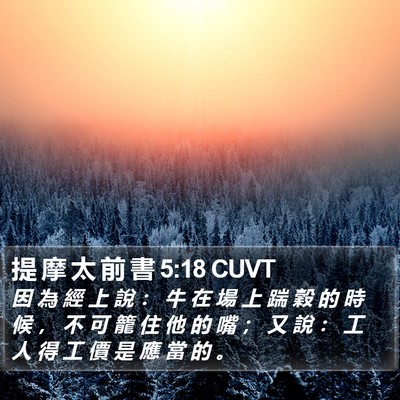 提 摩 太 前 書 5:18 CUVT Bible Verse Image