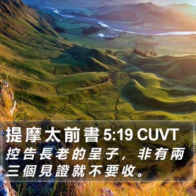 提 摩 太 前 書 5:19 CUVT Bible Verse Image