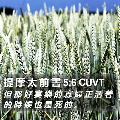 提 摩 太 前 書 5:6 CUVT Bible Verse Image