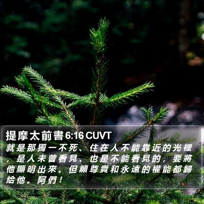 提 摩 太 前 書 6:16 CUVT Bible Verse Image