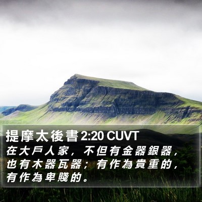 提 摩 太 後 書 2:20 CUVT Bible Verse Image