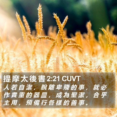 提 摩 太 後 書 2:21 CUVT Bible Verse Image