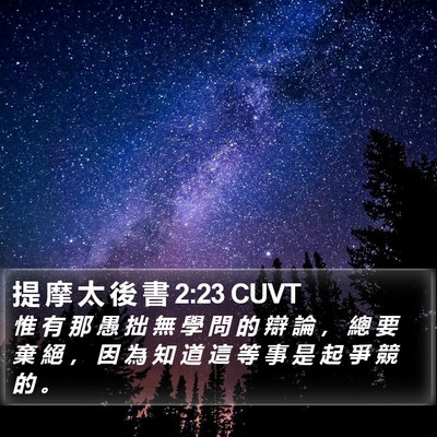 提 摩 太 後 書 2:23 CUVT Bible Verse Image