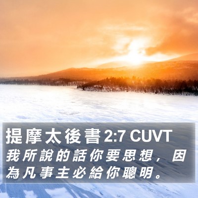 提 摩 太 後 書 2:7 CUVT Bible Verse Image