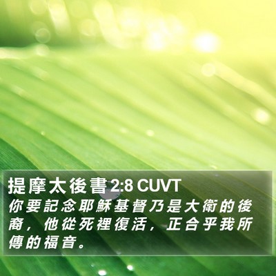 提 摩 太 後 書 2:8 CUVT Bible Verse Image