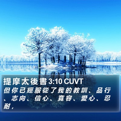 提 摩 太 後 書 3:10 CUVT Bible Verse Image