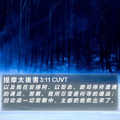 提 摩 太 後 書 3:11 CUVT Bible Verse Image
