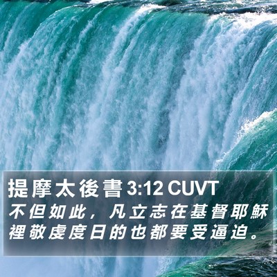 提 摩 太 後 書 3:12 CUVT Bible Verse Image