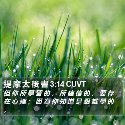 提 摩 太 後 書 3:14 CUVT Bible Verse Image