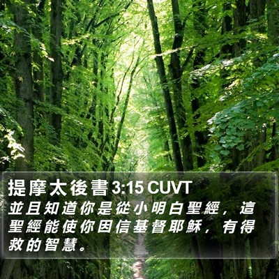提 摩 太 後 書 3:15 CUVT Bible Verse Image