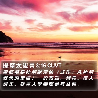 提 摩 太 後 書 3:16 CUVT Bible Verse Image