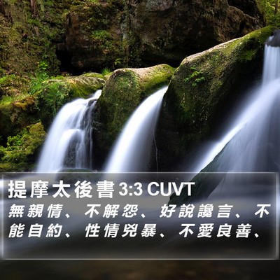 提 摩 太 後 書 3:3 CUVT Bible Verse Image
