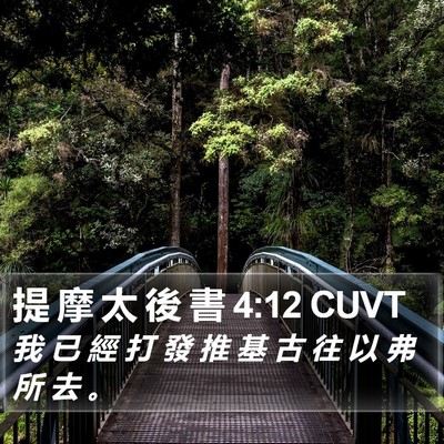 提 摩 太 後 書 4:12 CUVT Bible Verse Image