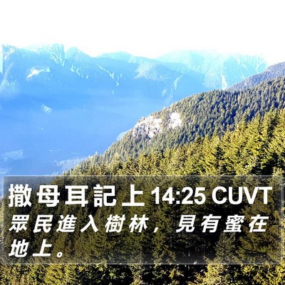 撒 母 耳 記 上 14:25 CUVT Bible Verse Image