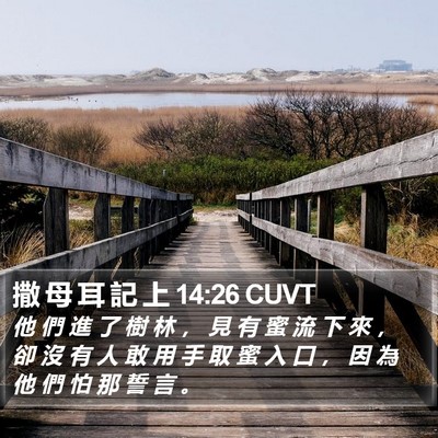 撒 母 耳 記 上 14:26 CUVT Bible Verse Image