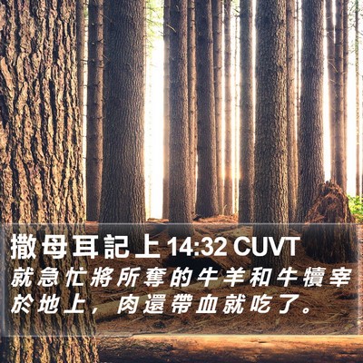 撒 母 耳 記 上 14:32 CUVT Bible Verse Image