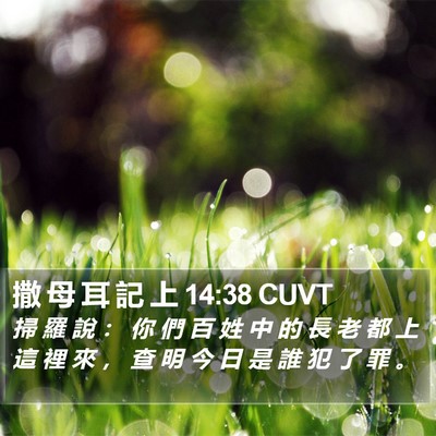 撒 母 耳 記 上 14:38 CUVT Bible Verse Image