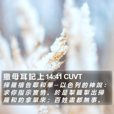 撒 母 耳 記 上 14:41 CUVT Bible Verse Image