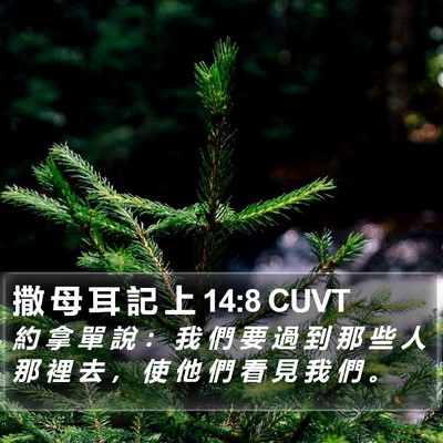 撒 母 耳 記 上 14:8 CUVT Bible Verse Image
