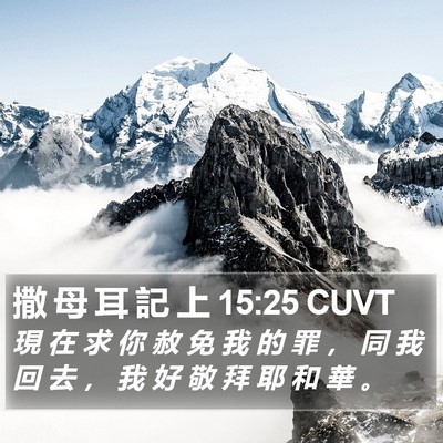 撒 母 耳 記 上 15:25 CUVT Bible Verse Image