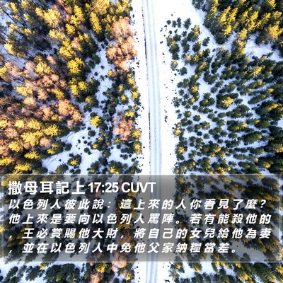 撒 母 耳 記 上 17:25 CUVT Bible Verse Image
