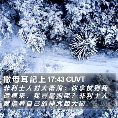撒 母 耳 記 上 17:43 CUVT Bible Verse Image