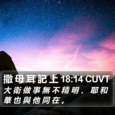 撒 母 耳 記 上 18:14 CUVT Bible Verse Image