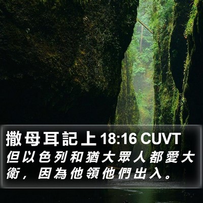 撒 母 耳 記 上 18:16 CUVT Bible Verse Image