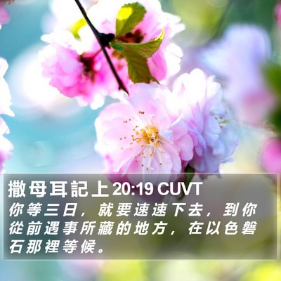 撒 母 耳 記 上 20:19 CUVT Bible Verse Image