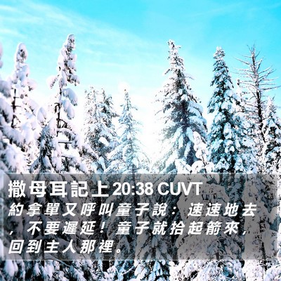 撒 母 耳 記 上 20:38 CUVT Bible Verse Image