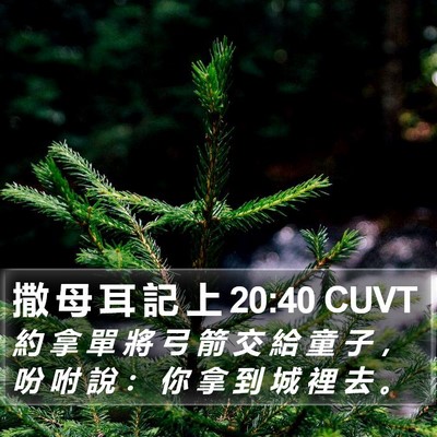 撒 母 耳 記 上 20:40 CUVT Bible Verse Image