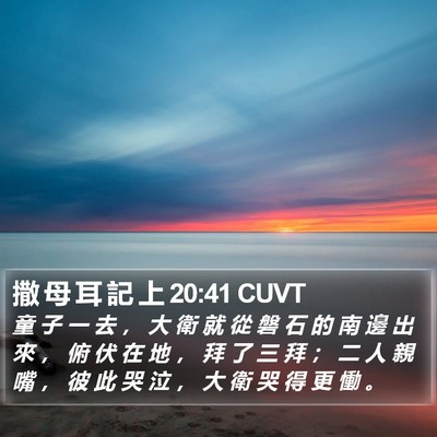 撒 母 耳 記 上 20:41 CUVT Bible Verse Image