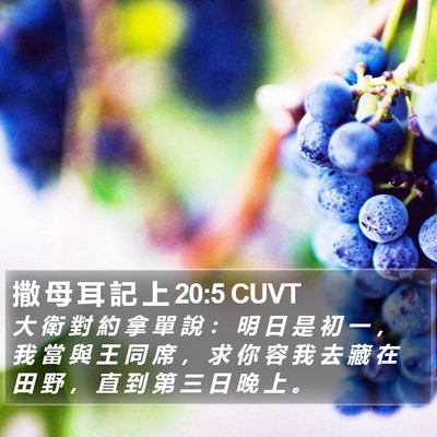 撒 母 耳 記 上 20:5 CUVT Bible Verse Image