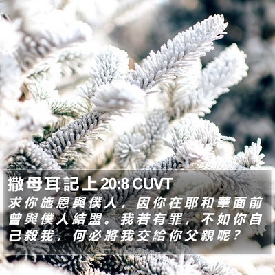 撒 母 耳 記 上 20:8 CUVT Bible Verse Image