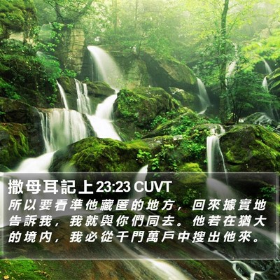 撒 母 耳 記 上 23:23 CUVT Bible Verse Image